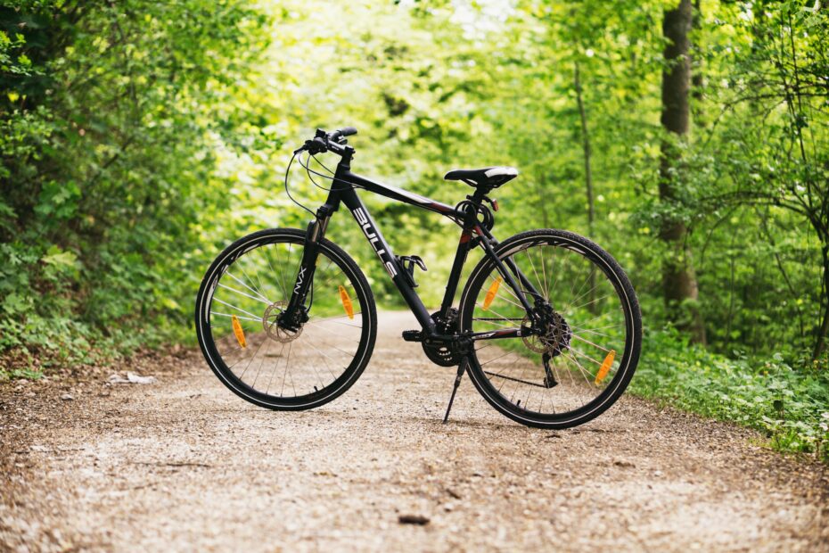 Fahrrad im Wald