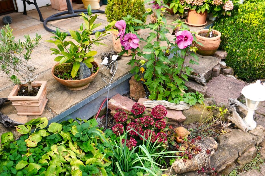 Mülltonnenboxen mit Pflanzdach neben Kübelpflanzen auf Terrasse