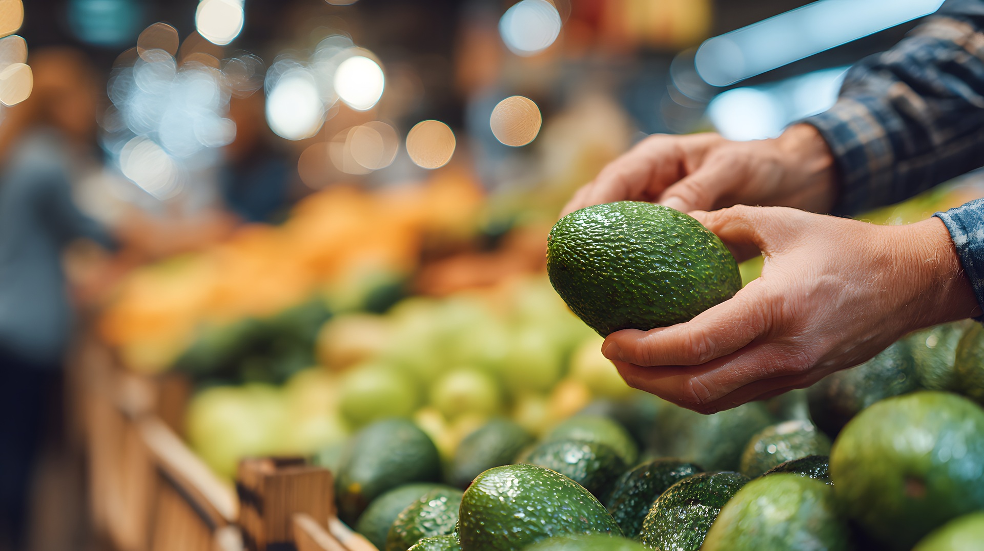 Hand hält frische Avocado | Gemüsesamen kaufen  